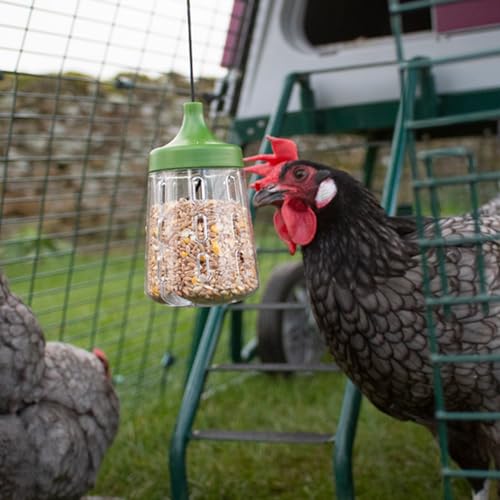 Omlet Pendant Peck Toy | Interactive Slow-Feed Chicken Treat Dispenser | Boredom Busting Enrichment for Hens | Holds About 300g of Feed | Encourages Pecking & Foraging | Available in 2 Designs - style: Pendant