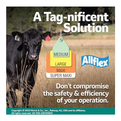 Allflex USA Allflex Large White Blanks Ear Tags