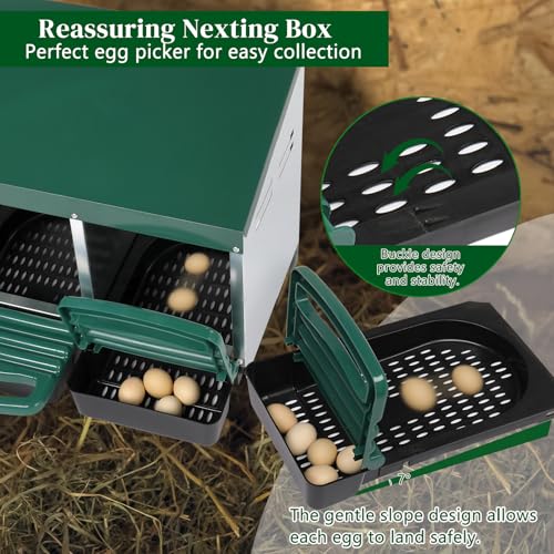 Chicken Nesting Boxes Plastic with Roll Away Egg,2 Compartment Roll Out Chicken Nest Box Egg Laying Box with Lid Cover,Rolling Egg Collection & Protection Chicken Coop for Up to 2 Hens,Green - color: Green, size: 21.3"L x 20.5"W x 18.5"H