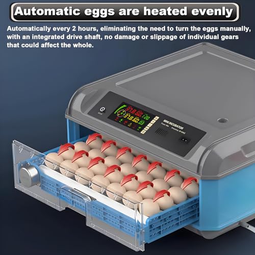 Egg Incubator with Automatic Turning and Humidity Control, Digital Display for Hatching Chicken, Duck, and Quail Eggs - Adjustable 300 Egg Capacity - size: 36