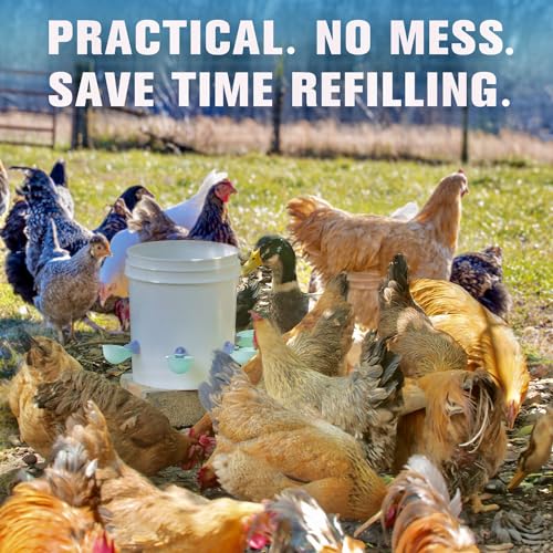 (8 Pack) Chicken Water Cups Feeder, Automatic Chicken Waterer, Anti-Leak System, Holds 50% More Water, Suitable for Chicks, Chicken, Duck, Quail, Turkey - size: 8