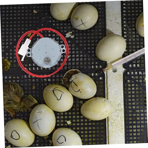 BESPORTBLE Automatic Mini Incubator Accessory Egg Flip Motor Replacement Part for Incubator Motor Supplies