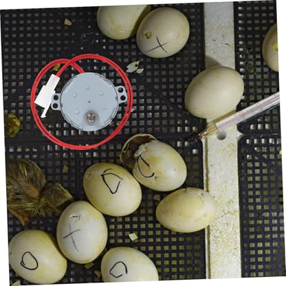 BESPORTBLE Automatic Mini Incubator Accessory Egg Flip Motor Replacement Part for Incubator Motor Supplies