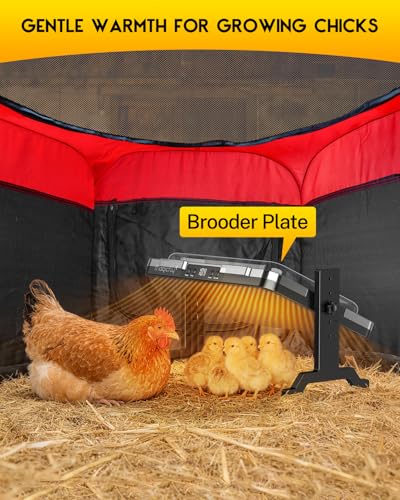 Magicfly Brooder Box for Chick with Heating Plate, 5-in-1 Chicks Starter Kit Includes Brooder Plate, Feeder, Waterer, Perch, Holds up to 15 Chicks, Ducks & Quail