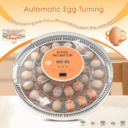 30 Egg Incubator with Automatic Egg Turning, Temperature Control and Humidity Monitor Incubators for Hatching Eggs, Chicken, Ducks, Goose, Pigeon, Quail, Parrot Incubator for Farm, Lab - size: 30-EGGS