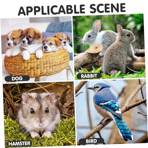 BESPORTBLE Bird Cage Poop Tray Replacement Dog Crate Tray Potty Parrot Toilet Pan Pet Poop Holder 2pcs 44x29x3cm - size: 44x29cm