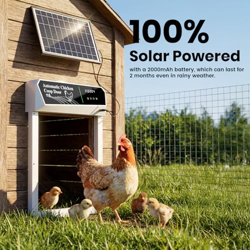 Automatic Chicken Coop Door Solar Powered, Roll-Up Auto Chicken Door with Timer & Light Sensor, Anti-Pinch Safety, Remote Control, Weatherproof Aluminum