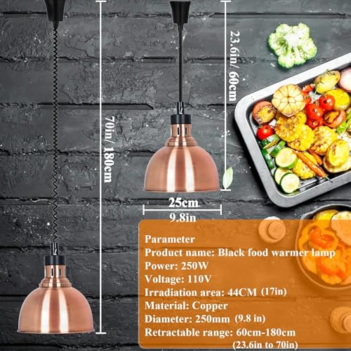 JIAWANSHUN Commercial Food Warmer Lamp with 250W Bulb Retractable Hanging Food Heat Heating Lamp for Restaurant Service Warming Pizza Warmer - color: Champagne