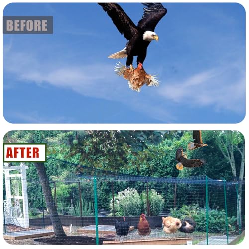 Bird Netting for Chicken Coop Roof - 50' x 50' Tear Resistant Poultry Netting, 1" Square Mesh Garden Netting for Garden Protection, Plant, Fruit Tree, Against Birds, Deer, and Hawks - size: 1", 50' x 50'