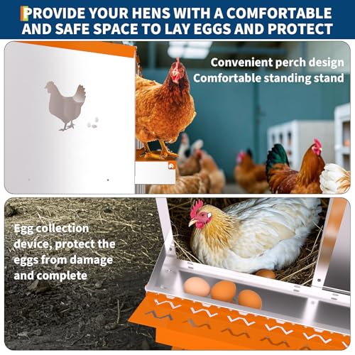 Chicken Nesting Box,6 Compartments Galvanized Steel Metal Chicken Laying Box with Roll Out Egg Collection,Wall Mount Chicken Nesting Boxes,Easy Egg Collection, Hen Roosting Boxes - color: Orange, size: 6 Holes