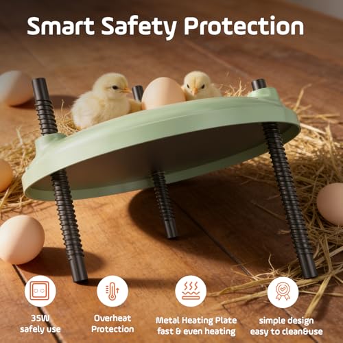 Brooder Plate for Chicks,12inch Metal Heating Plate,Perfectly Adjustable Height & Angle, 35W Chick Warmer for Brooding Newborn Chicken Duckling Quail,Chicken Coop Heater, Warming Puppy Cats - size: Round
