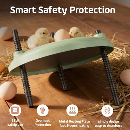 Brooder Plate for Chicks,12inch Metal Heating Plate,Perfectly Adjustable Height & Angle, 35W Chick Warmer for Brooding Newborn Chicken Duckling Quail,Chicken Coop Heater, Warming Puppy Cats - size: Round
