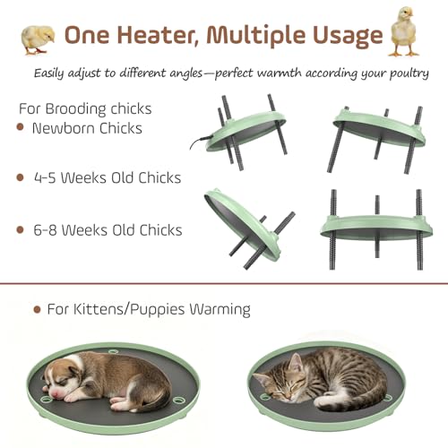 Brooder Plate for Chicks,12inch Metal Heating Plate,Perfectly Adjustable Height & Angle, 35W Chick Warmer for Brooding Newborn Chicken Duckling Quail,Chicken Coop Heater, Warming Puppy Cats - size: Round