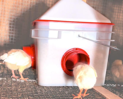 RentACoop 10lb Chick2Chicken BPA-Free 4-Port Chicken Feeder