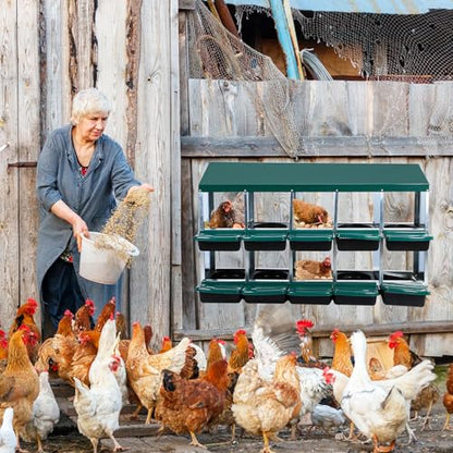 Chicken Nesting Box, 10 Compartment Roll Away Egg Laying Box for Hens, Wall Mounted & Freestanding (2 Modes of Use), Easy Egg Collection, Cleanable Pull Out Nesting Box, Grn, WL - color: Green, size: 10 - Slot - With Legs