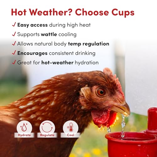 RentACoop 64oz (2 Liter) Automatic Drinker - BPA-Free Poultry Waterer with Auto-Fill Cup and Horizontal Nipple- Suitable for Chicks, Quail, Pigeons, Doves, and Other Smaller Birds