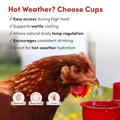 RentACoop 64oz (2 Liter) Automatic Drinker - BPA-Free Poultry Waterer with Auto-Fill Cup and Horizontal Nipple- Suitable for Chicks, Quail, Pigeons, Doves, and Other Smaller Birds