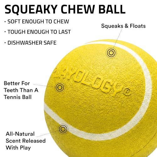 Playology Dog Toys | Squeaky Chew Ball for Dogs, Value 3-Pack | Chicken Scented Small Dog Balls | Bouncy Floating Chew Toys for Fetch - size: Small (VALUE 3-Pack), style: Chicken