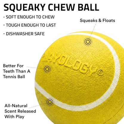 Playology Dog Toys | Squeaky Chew Ball for Dogs, Value 3-Pack | Chicken Scented Small Dog Balls | Bouncy Floating Chew Toys for Fetch - size: Small (VALUE 3-Pack), style: Chicken