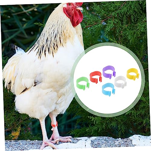 Yardwe 360pcs Chick Identification Rings Poultry Racing Bands Foot Rings for Chicken Poultry Reusable Material Random Color