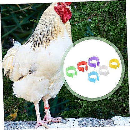 Yardwe 360pcs Chick Identification Rings Poultry Racing Bands Foot Rings for Chicken Poultry Reusable Material Random Color