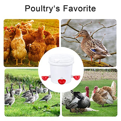 Darcvds Professional Chicken Waterer Cups, 8 Packs Large Chicken Water Feeder, Tee Fittings Poultry Waterer Suitable for Duck, Chicks, Goose, Turkey, Bunny and Bird with Mounting Hole Opener