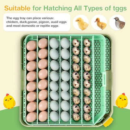 Sailnovo 48 Egg Incubator for Hatching Eggs with Auto Egg Turning, Precise Temp & Humidity Control, 360°Viewing, Egg Candler, Incubator for Chicken Eggs/Duck/Quail,Ideal for Farm/School/Lab,Green