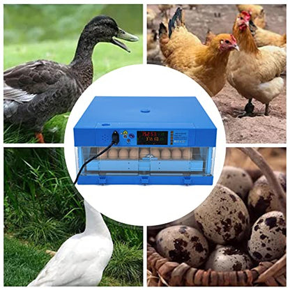 Fully Automatic Incubator for Hatching Eggs, 24-72PCS Egg Incubators with 360° Automatic Egg Turning and Humidity Control, Digital Display, for Hatching Chickens, Ducks, Quail, Goose Eggs