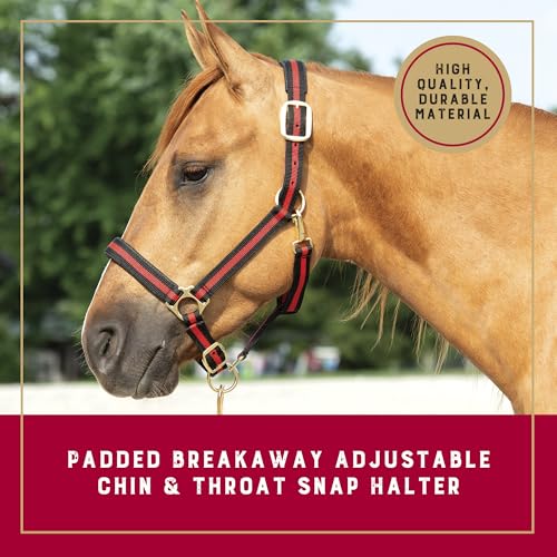 Weaver Equine Breakaway Horse Halter, Comfort Foam Padding, Adjustable Chin & Throat Snap Halters for Horses, Equine Tack,Average Size, Red