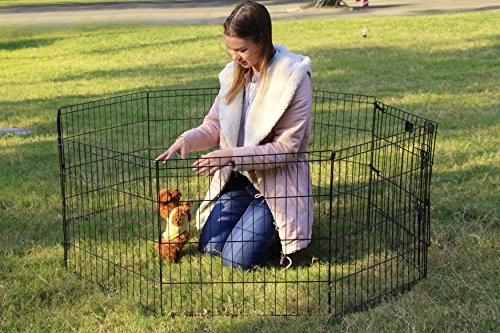 Peekaboo Dog Playpen 24 Inch, 8 Panel Foldable Pet Fence, Black | Sturdy Metal Pet Fence,Quick Folding Setup,Indoor and Outdoor Use,Climate Pledge Friendly Choice - style: Only playpen