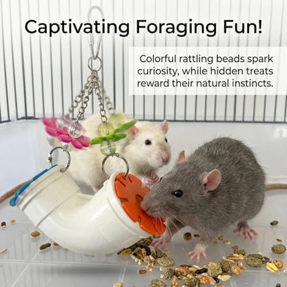 2 Pack Mouse Rat Enrichment Toys for Pet Mice -Treat Dispenser Rats Foraging Toy, Hanging Foraging Dispenser for Rats, Mice, Guinea Pig Small Pet