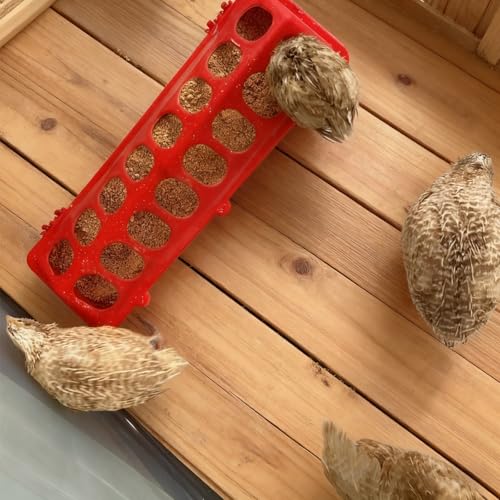 2 Pack Chick Feeder Waterer 16 Holes Chicken Feeder No Waste Poultry Feeder