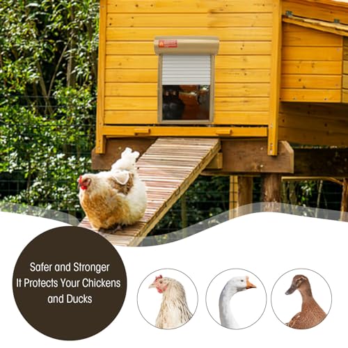 Automatic Chicken Door Opener, Auto Chicken Door Easy Install for Duck (Gold)