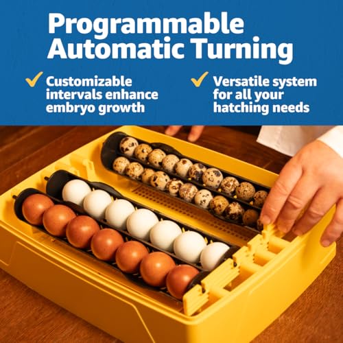 Brinsea Ovation 28 EX Egg Incubator & Expert Incubation Book, Automatic Humidity Control and Egg Turning for Hatching 28 Chicken, Duck, Other Bird Eggs, Precision Digital Controls - style: With Book