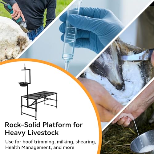 Goat Milking Stand with Feed Bin, 600 LBS Heavy Duty Sheep Trimming Stand, Adjustable Headpiece Livestock Stanchion, Stable Metal Hoof Trimming Platform for Grooming & Shearing, Farm Equipment