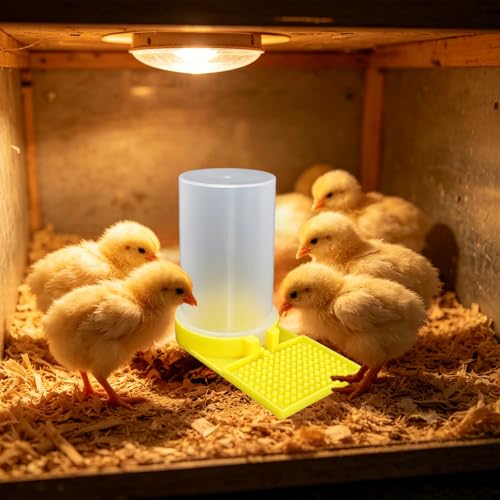 Baby Chick Feeder and Waterer Set, Poultry Starter Kit, Chick Feeder & Gravity Waterer, Compact Brooder Supplies for Chicks, Ducklings and Small Poultry (B) - color: b