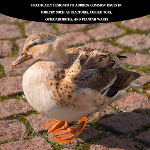 Chicken Leg Splint for Poultry - 4 Sizes, Ideal for Fixing Fractures, Curled Toes, Osteoarthritis & Plantar Warts in Chickens, Ducks, and Geese (Orange-for Chicken Leg)