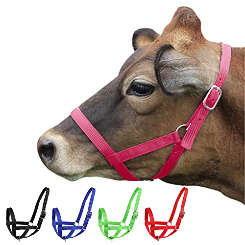Derby Originals Adjustable Nylon Livestock Cattle Halters - color: Pink, size: Large (800-1400lbs)