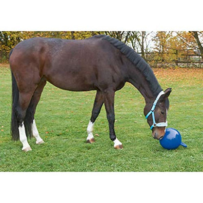 Kerbl 32399 Horse Ball Blue 25 cm - color: Blue