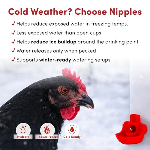 RentACoop 64oz (2 Liter) Chicken Drinker with 2 Versatile Nipples - Ideal for Baby Chicks, Quail, Small Birds, and Ducklings - Easy-to-Use Chicken Waterer Solution - Ideal for Coops and Cages