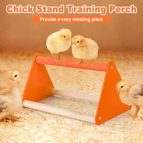 POMINEL Plastic Baby Chicken Feeder and Waterer Set (Orange) - color: Orange