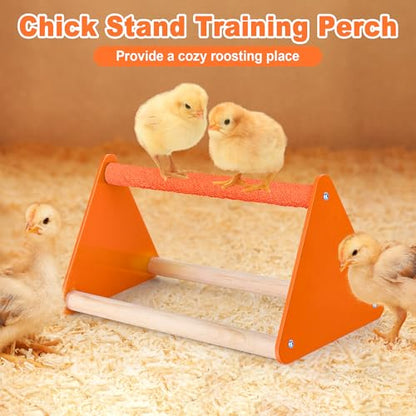 POMINEL Plastic Baby Chicken Feeder and Waterer Set (Orange) - color: Orange