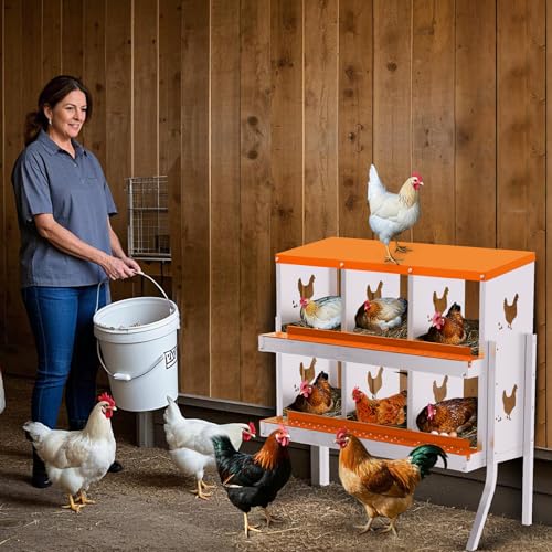 Chicken Nesting Box,6 Holes Galvanized Steel Metal Chicken Laying Box with Automatic Roll-Away Egg Collection System & Removable Tray,Wall Mount Nesting Boxes - color: Orange, size: 6 Holes with Legs