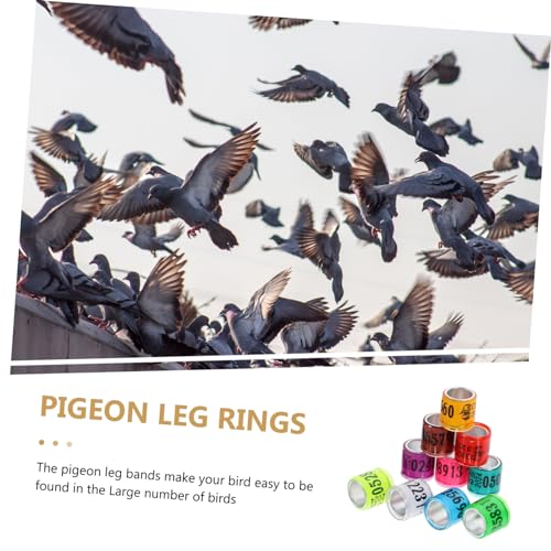 Abaodam 100pcs Pigeon Leg Bands Colorful Bird Foot Rings for Easy Identification of Racing Pigeons Chickens and Other Poultry Mixed Colors Random Styles
