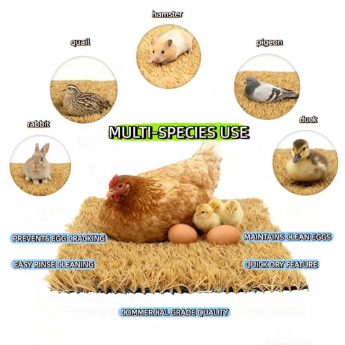 AuroVyxx Chicken Nesting Box Pads 4 Pack 12x12 Inch - Waterproof Washable Hen Nesting Pads, Easy Clean Reusable Nest Boxes Liners, Fake Grass Mat Artificial Indoor Turf with Drain Holes