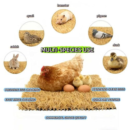 AuroVyxx Chicken Nesting Box Pads 4 Pack 12x12 Inch - Waterproof Washable Hen Nesting Pads, Easy Clean Reusable Nest Boxes Liners, Fake Grass Mat Artificial Indoor Turf with Drain Holes
