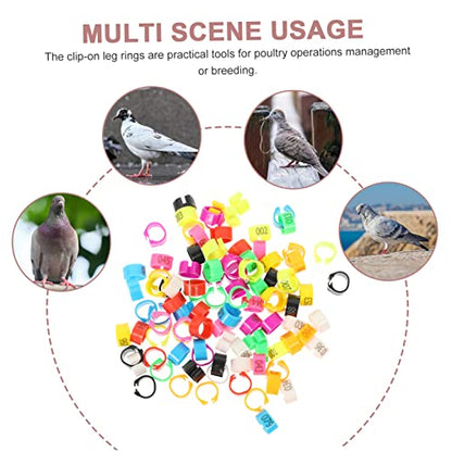 Mikikit 100pcs Pigeon Identification Leg Bands Plastic Foot Rings for Pigeons and Chickens Color-Coded Marking Rings for Easy Identification