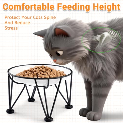 Elevated Ceramic Cat Bowls – Whisker-Friendly & Anti-Vomiting, Non-Slip Raised Cat Food Dishes – Stylish, Safe & Hygienic Feeding Set (2-Pack) - color: fishbone+cat paw, size: anti-slip raised dish,2 pack