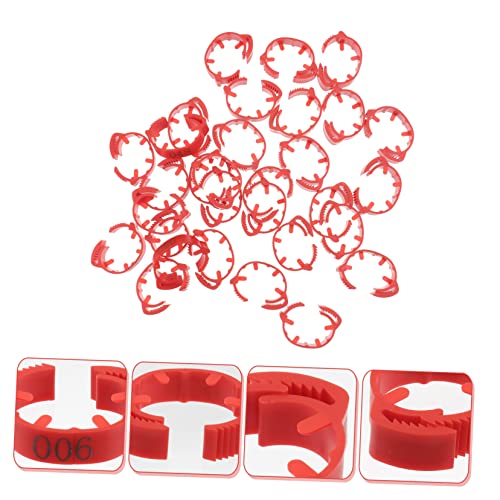 POPETPOP 100pcs Numbered Chicken Leg Rings Poultry Identification Bands for Chickens Ducks and Birds Sturdy Plastic Foot Rings Bright Colors for Easy Identification