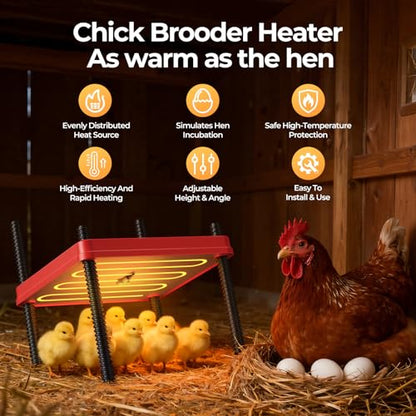Chick Brooder Heating Plate for Winter, Chick Heating Plate with Thermal Protector, Adjustable Temp & Height, Energy Efficient Heater, 10"x10" for 10-12 Chicks